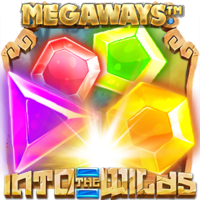 wmcslot image